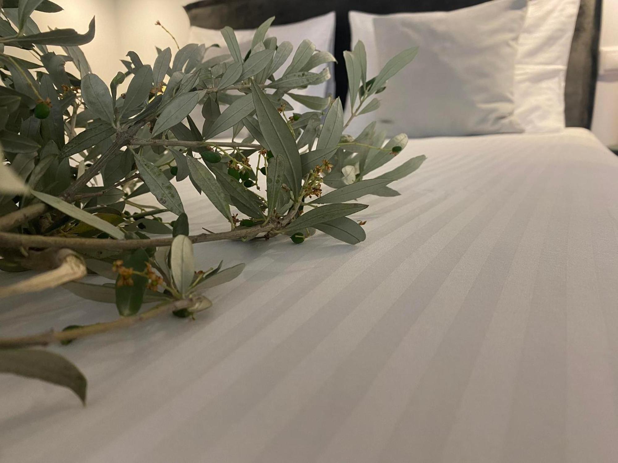 Oniropetra Luxury Suites Armakha Eksteriør billede